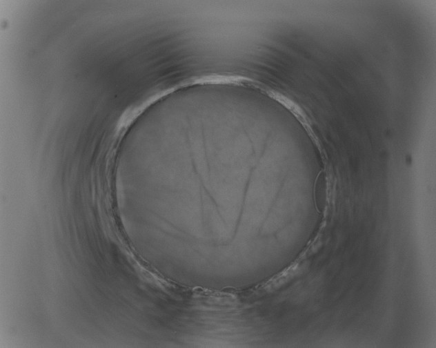 X0000087410337200705181403