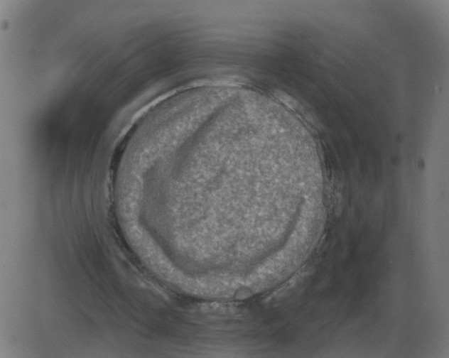 X0000087410338200705181403