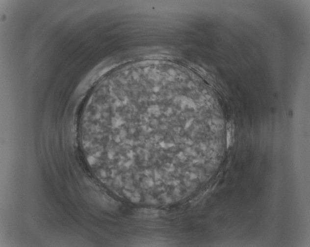 X0000087410339200705181403