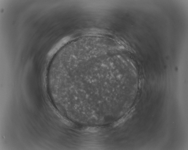 X0000087410341200705181403