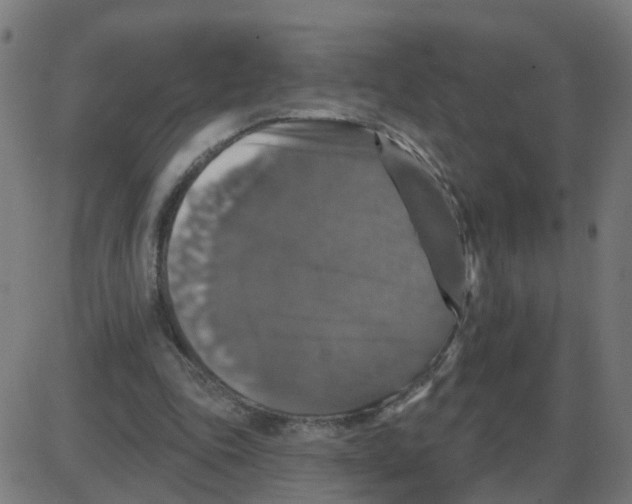 X0000087410343200705181403