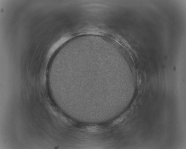 X0000087410344200705181403