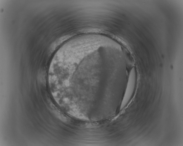 X0000087410345200705181403