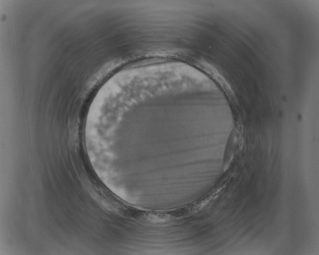 X0000087410346200705181403