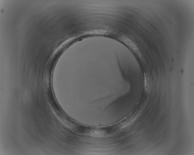 X0000087410348200705181403