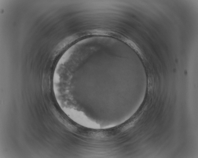 X0000087410349200705181403