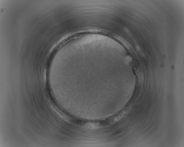 X0000087410350200705181403