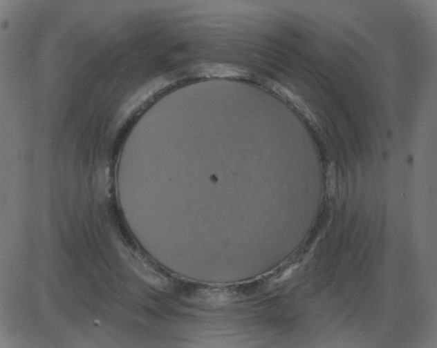 X0000087410351200705181403