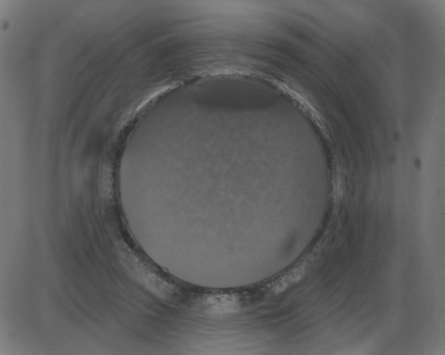 X0000087410353200705181403