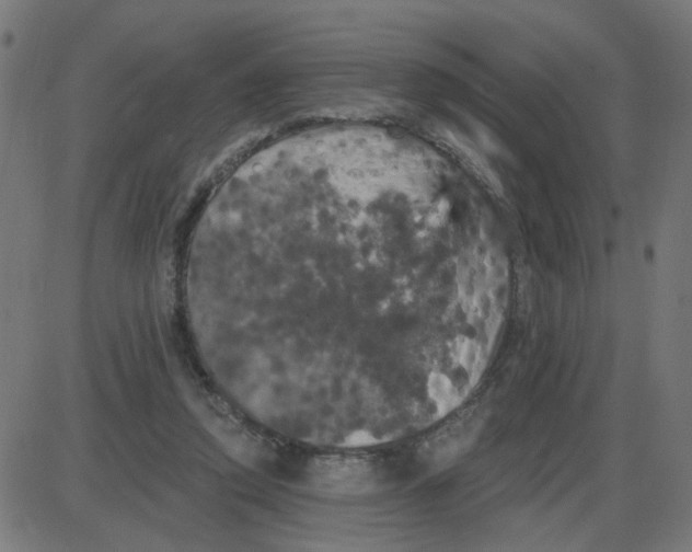 X0000087410354200705181403