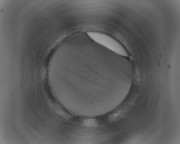 X0000087410355200705181403