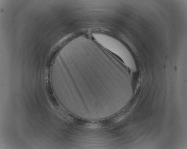 X0000087410356200705181403