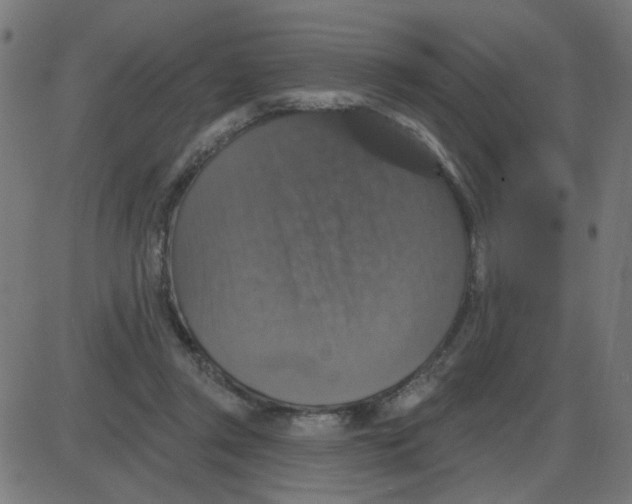 X0000087410357200705181403