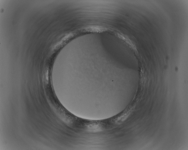 X0000087410358200705181403