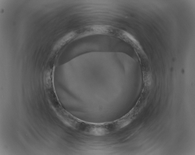 X0000087410360200705181403