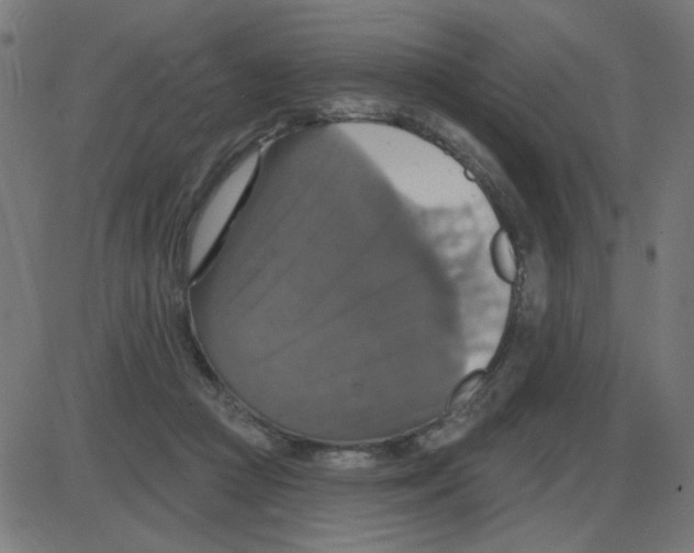 X0000087410361200705181403