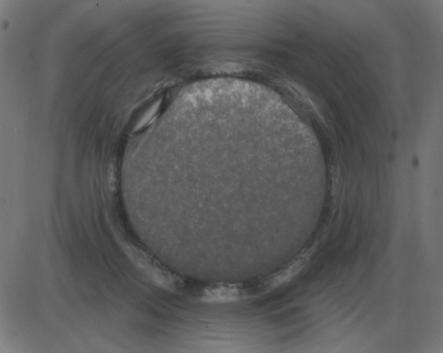 X0000087410362200705181403