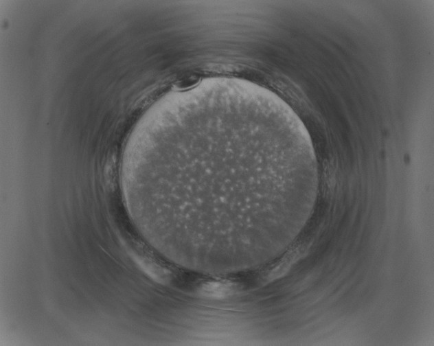 X0000087410364200705181403