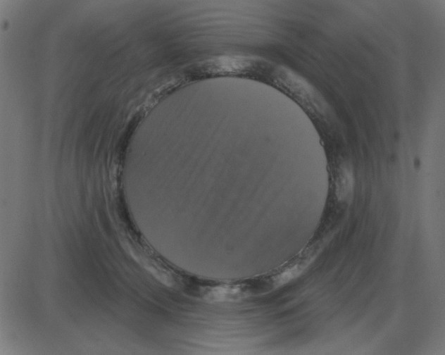 X0000087410366200705181403