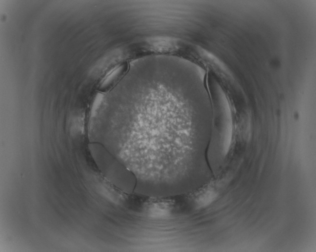 X0000087410368200705181403