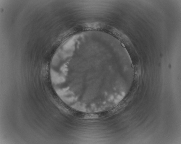 X0000087410369200705181403