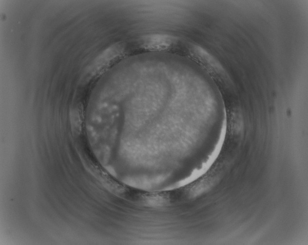 X0000087410370200705181403