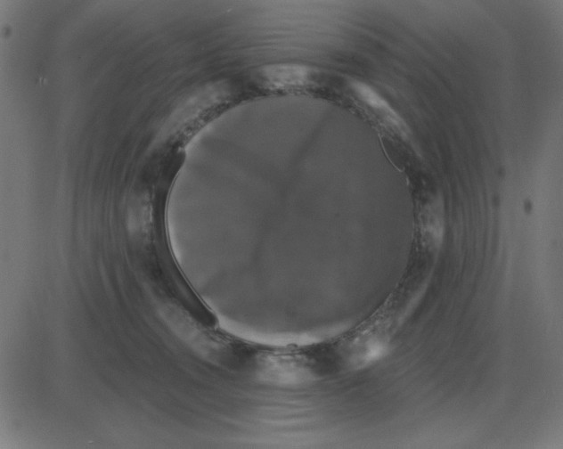 X0000087410372200705181403