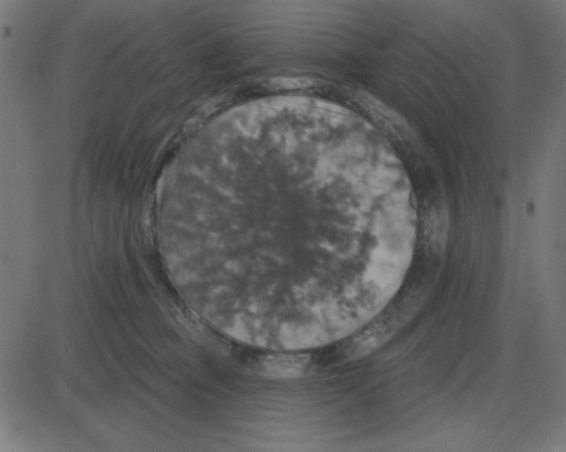 X0000087410373200705181403