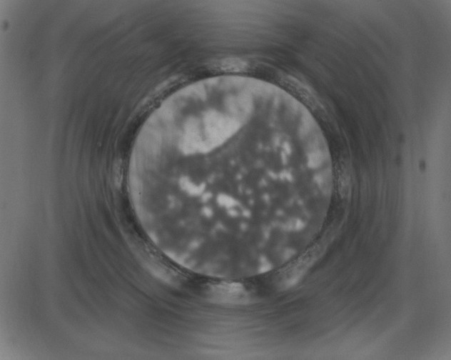 X0000087410374200705181403