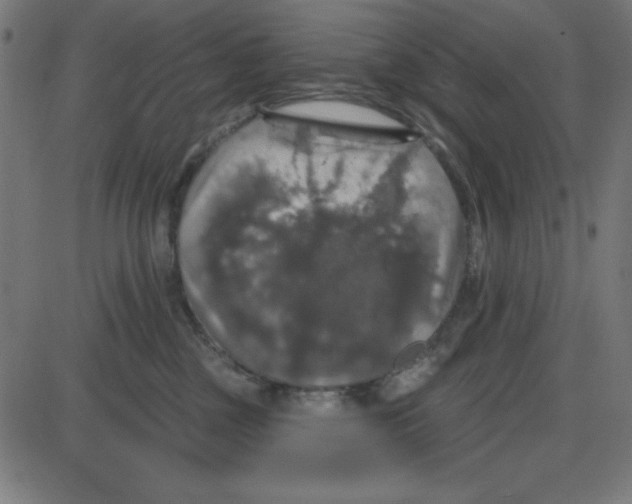 X0000087410377200705181403