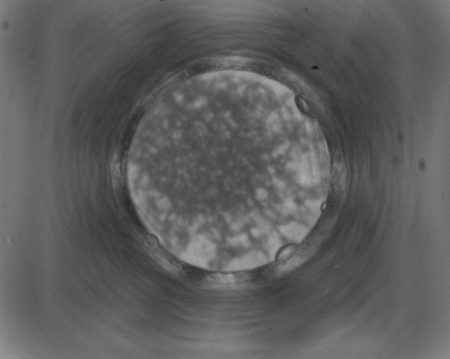 X0000087410381200705181404