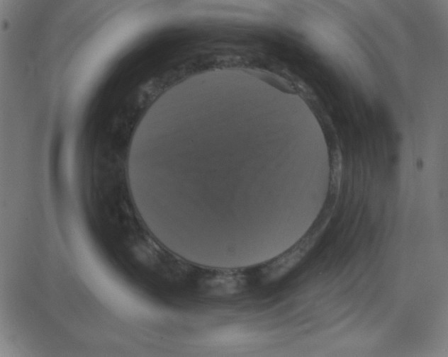 X0000087410383200705181404