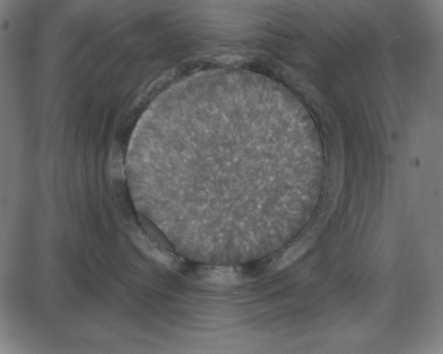 X0000087410384200705181404