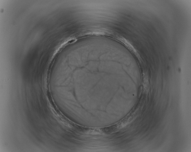 X0000087410386200705181403