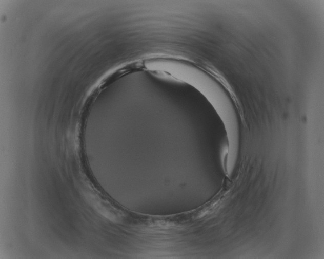 X0000087410387200705181403