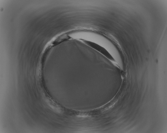 X0000087410388200705181403