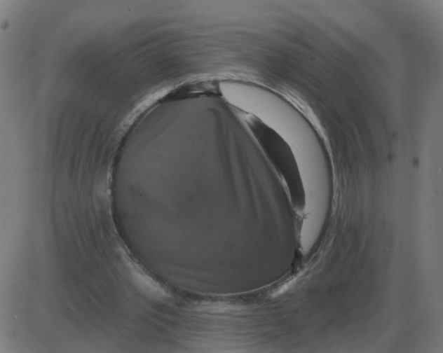 X0000087410389200705181403