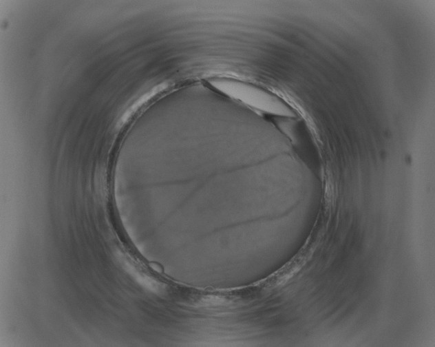 X0000087410390200705181403