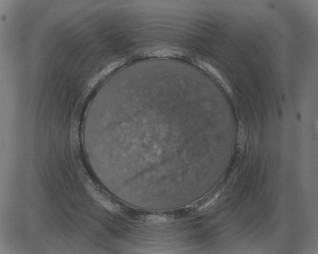 X0000087410394200705181403