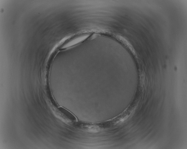 X0000087410395200705181403