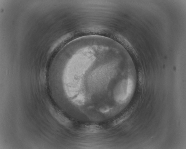 X0000087410396200705181403