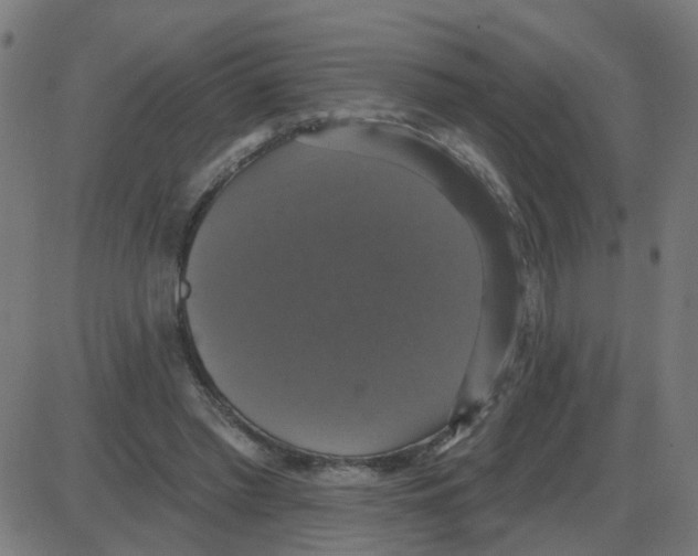 X0000087410397200705181403