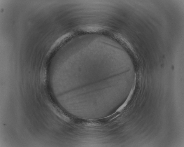 X0000087410400200705181403