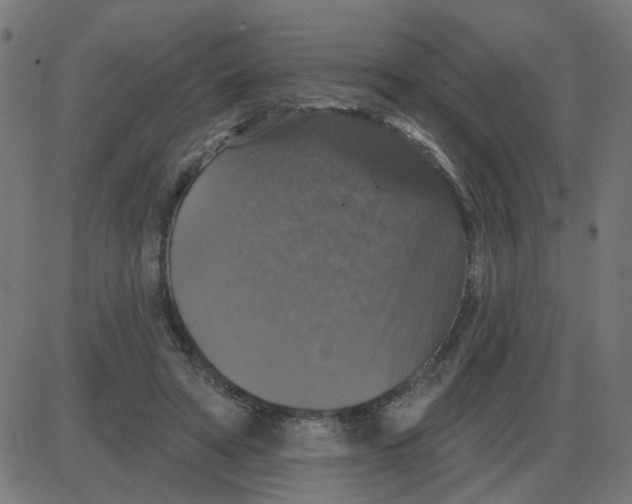 X0000087410402200705181402