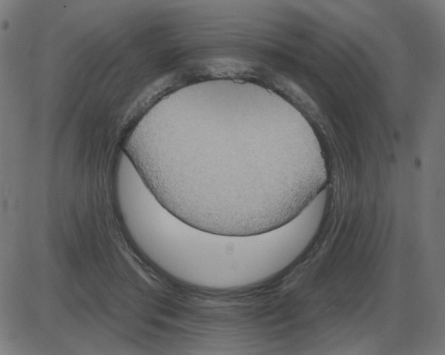 X0000087410405200705181402