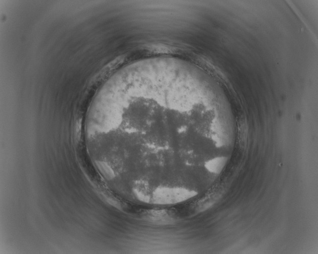 X0000087410406200705181402