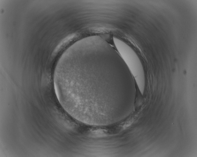 X0000087410407200705181402