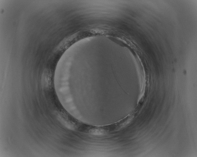 X0000087410408200705181402