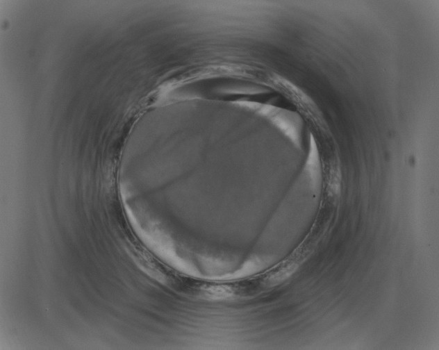 X0000087410409200705181402