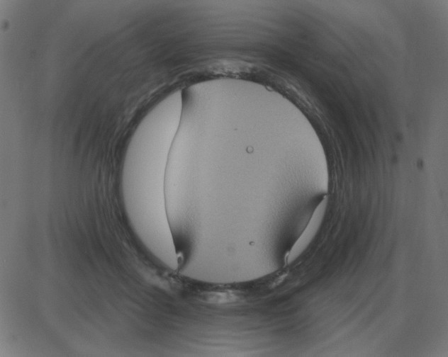 X0000087410411200705181402